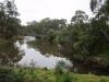 Confluence of Yarra River and Mullum Mullum Creek