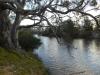 Wimmera River at Horseshoe Bend camp ground