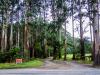 Toolangi State Forest Entrance