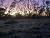 Frosty dawn