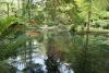 Reflections at Alfred Nicholas Gardens
