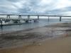 Low tide under bridge